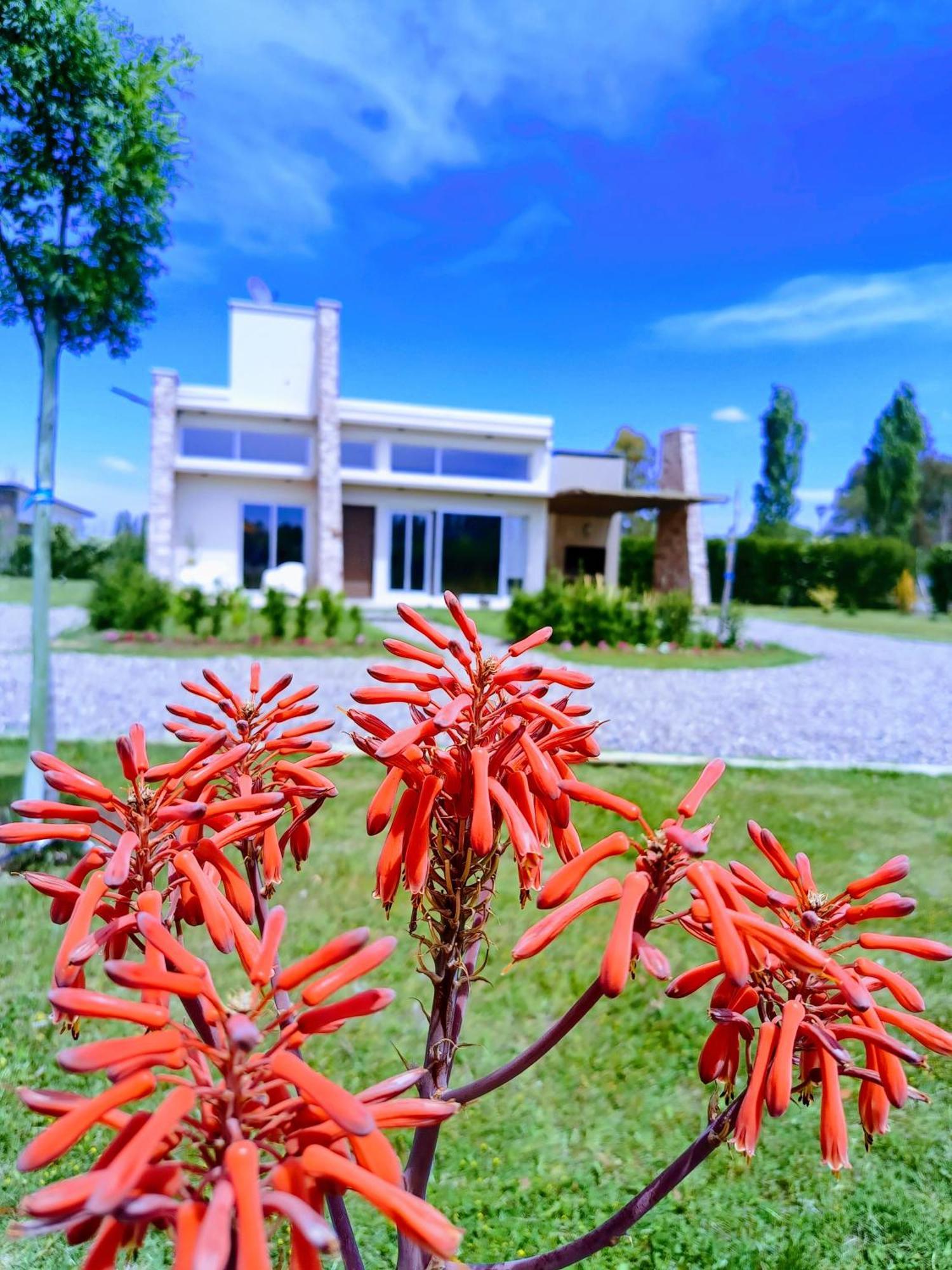 De Alma Tinta - Petit Chalet San Rafael (Mendoza) Exterior foto